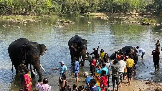 Elephants camp at Dubare